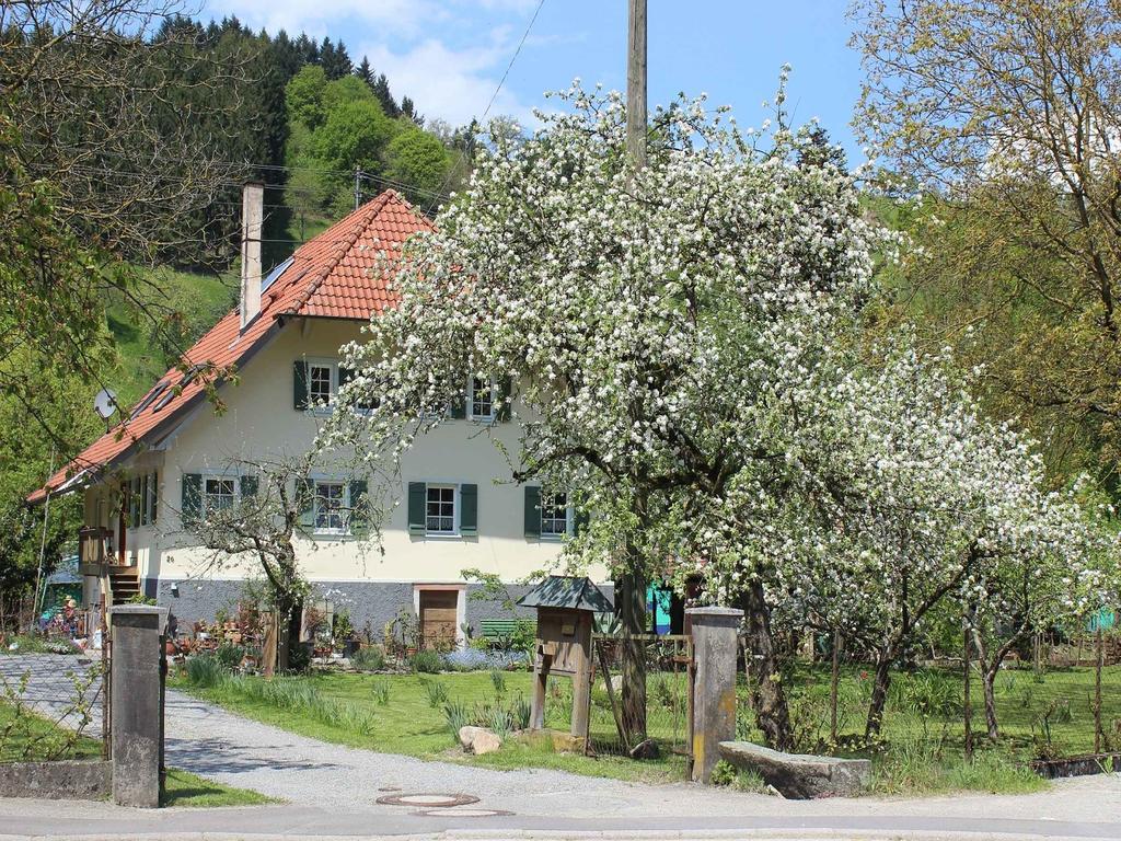 Haus Am Bach Apartamento Steinach  Exterior foto